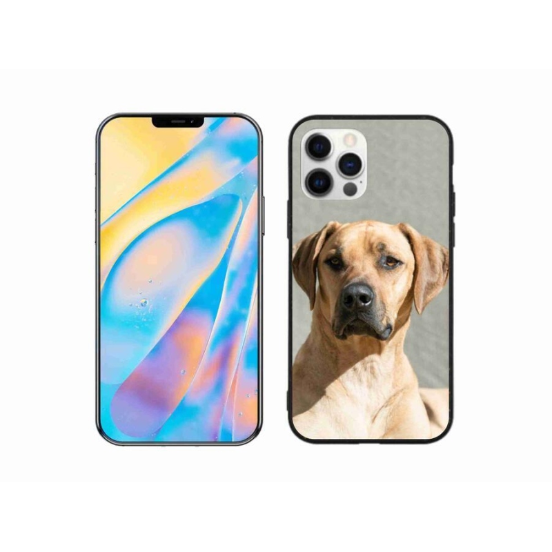 Zselés borítás mmCase iPhone 12 készülékhez - ridgeback