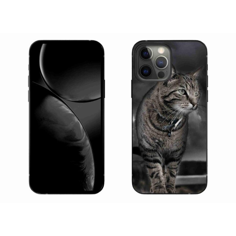 Zselés borítás mmCase iPhone 13 Pro Max 6.7 - macska - macskához