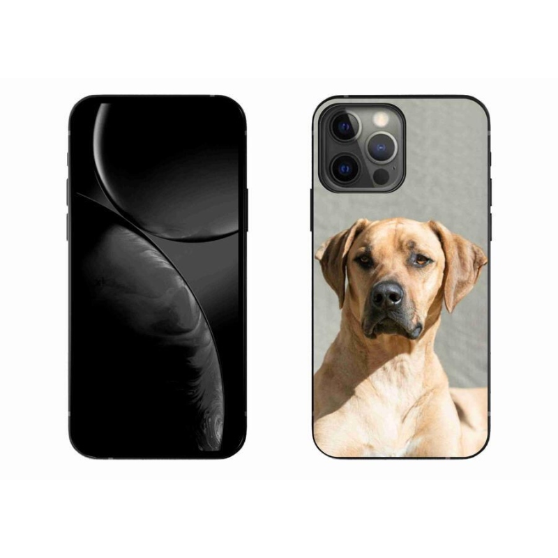 Zselés borítás mmCase iPhone 13 Pro Max 6.7 készülékhez - ridgeback