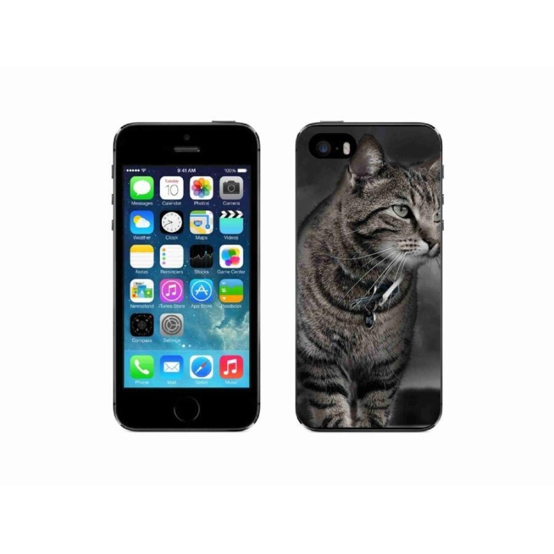 Zselés borítás mmCase iPhone SE (2016) - macska