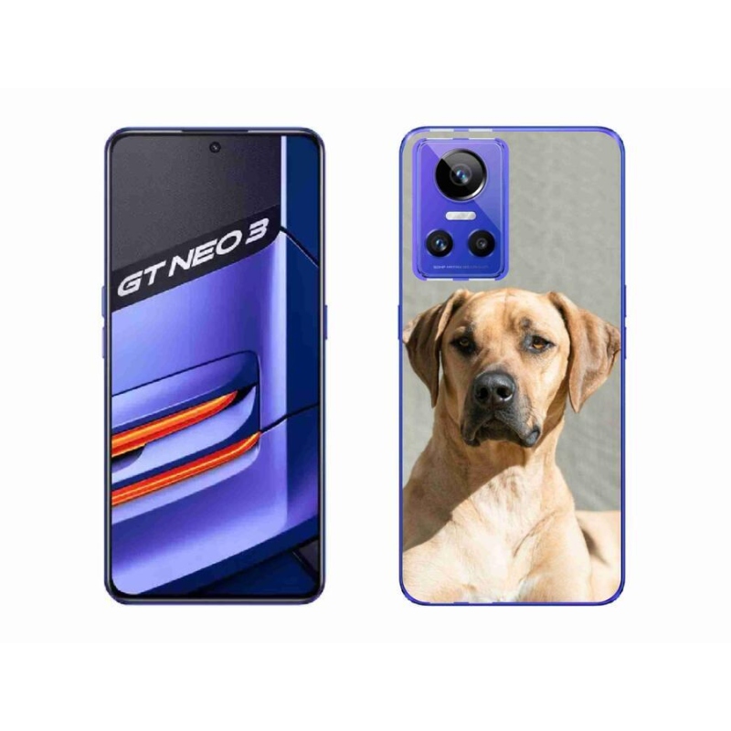 Gél borítás mmCase a Realme GT Neo 3 készülékhez - ridgeback