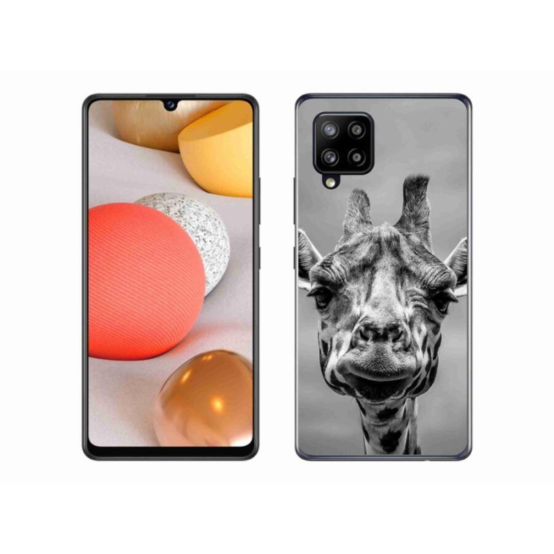 Zselés borítás mmCase Samsung Galaxy A42 5G - fekete-fehér zsiráfhoz