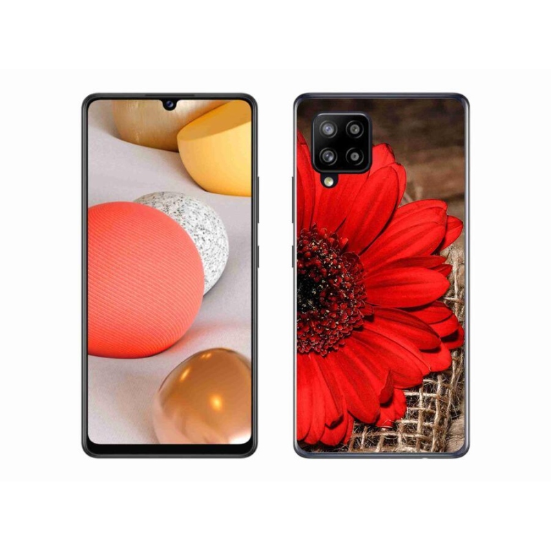 Gél borítás mmCase Samsung Galaxy A42 5G - gerbera