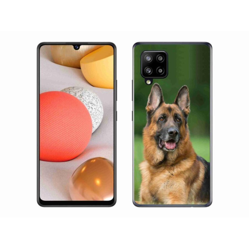 Gél borítás mmCase Samsung Galaxy A42 5G - Német juhászkutya számára