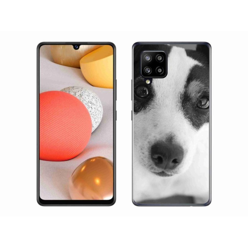 Gél borítás mmCase Samsung Galaxy A42 5G-hez - kutya