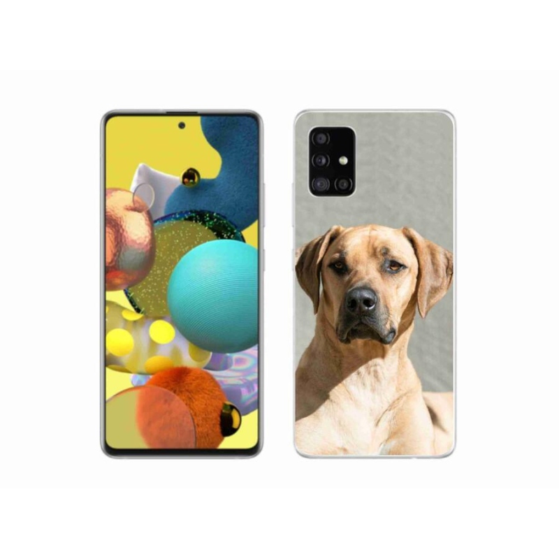 Zselés borítás mmCase Samsung Galaxy A51 5G - ridgeback