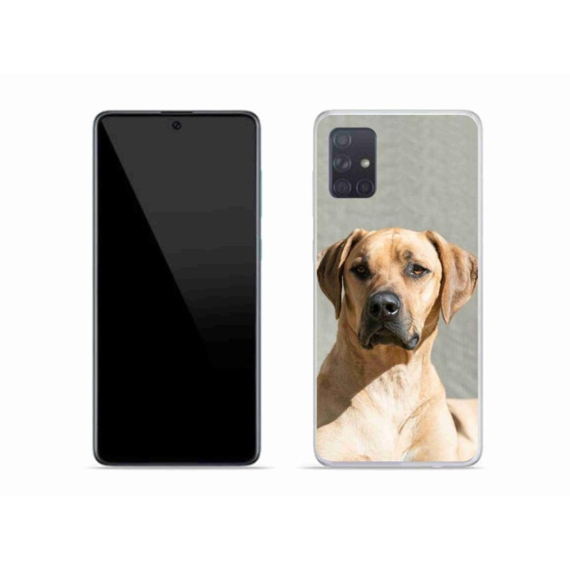 Zselés borítás mmCase Samsung Galaxy A51 készülékhez - ridgeback