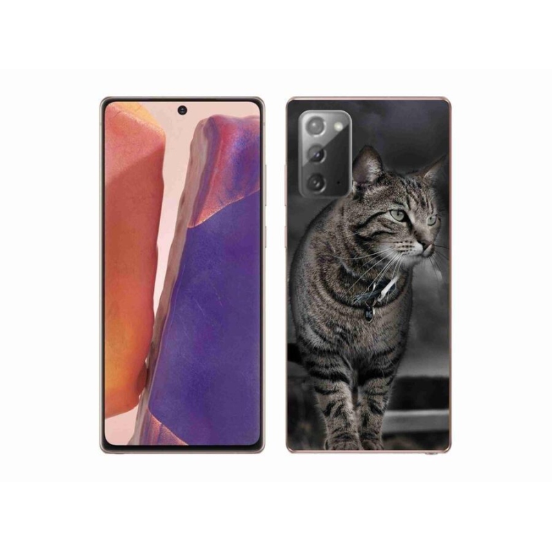 Zselés borítás mmCase Samsung Galaxy Note 20/Note 20 5G - macska