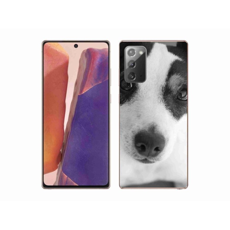 Zselés borítás mmCase Samsung Galaxy Note 20/Note 20 5G - kutya
