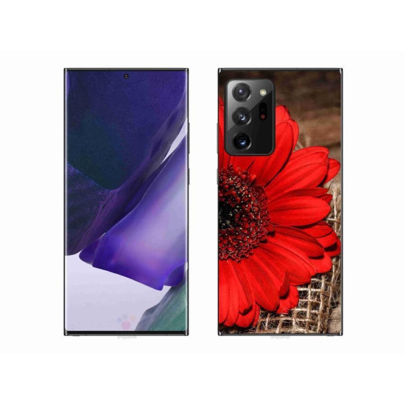 Gél borítás mmCase Samsung Galaxy Note 20 Ultra készülékhez - gerbera