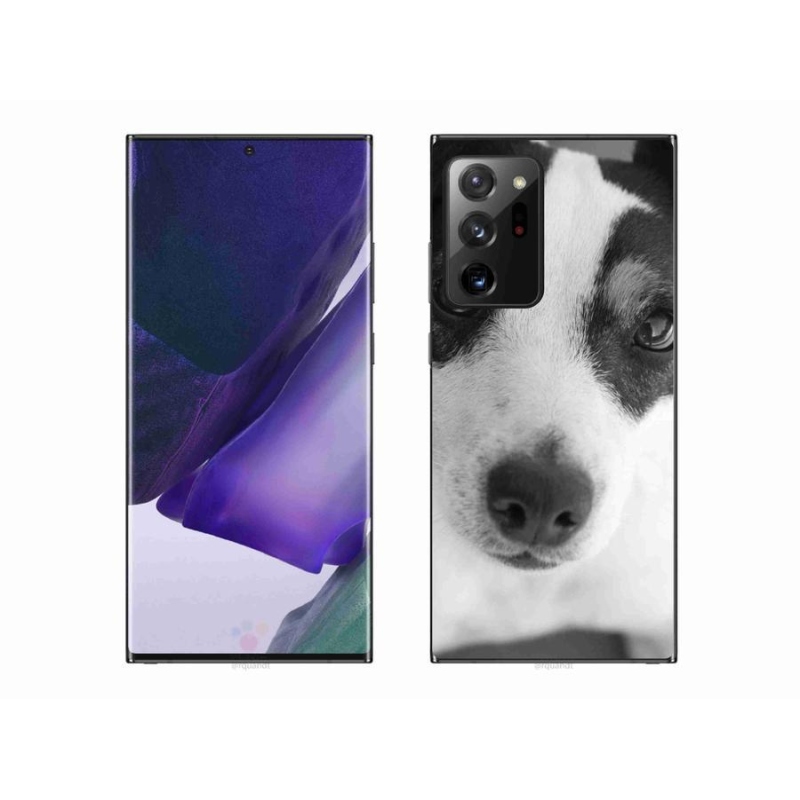 Zselés borítás mmCase Samsung Galaxy Note 20 Ultra - kutya