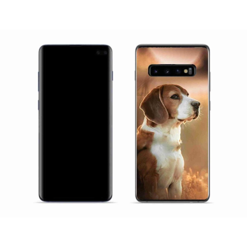 Gél védőburkolat mmCase Samsung Galaxy S10 készülékhez - bézs színű
