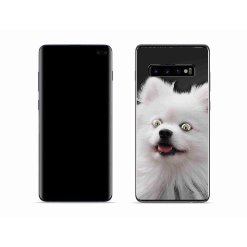 Zselés borítás mmCase Samsung Galaxy S10 készülékhez - fehér tüske