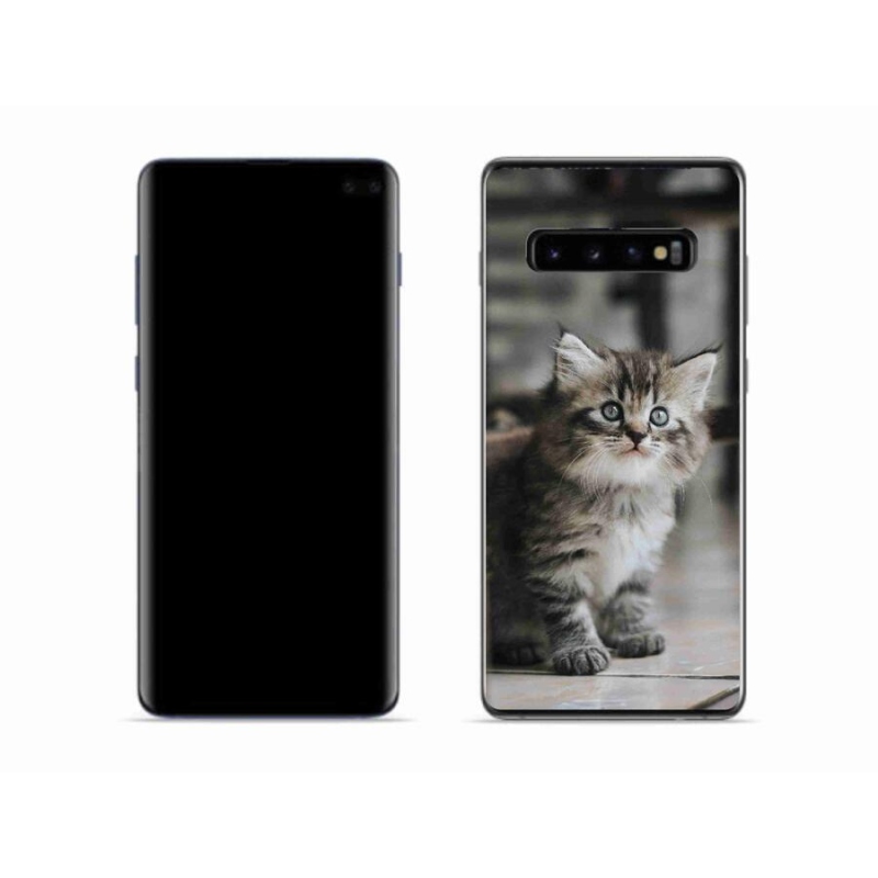 Gél borítás mmCase Samsung Galaxy S10 készülékhez - cica