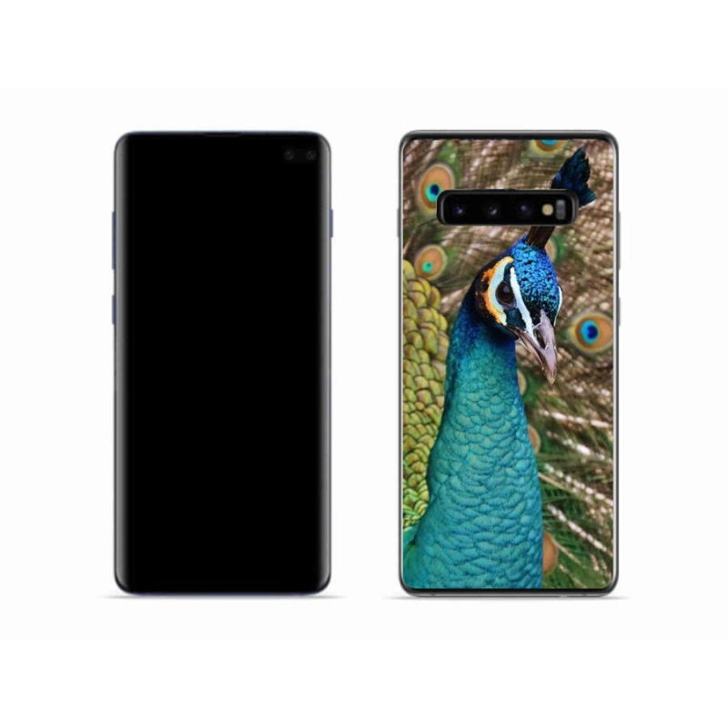 Zselés borítás mmCase Samsung Galaxy S10 készülékhez - páva