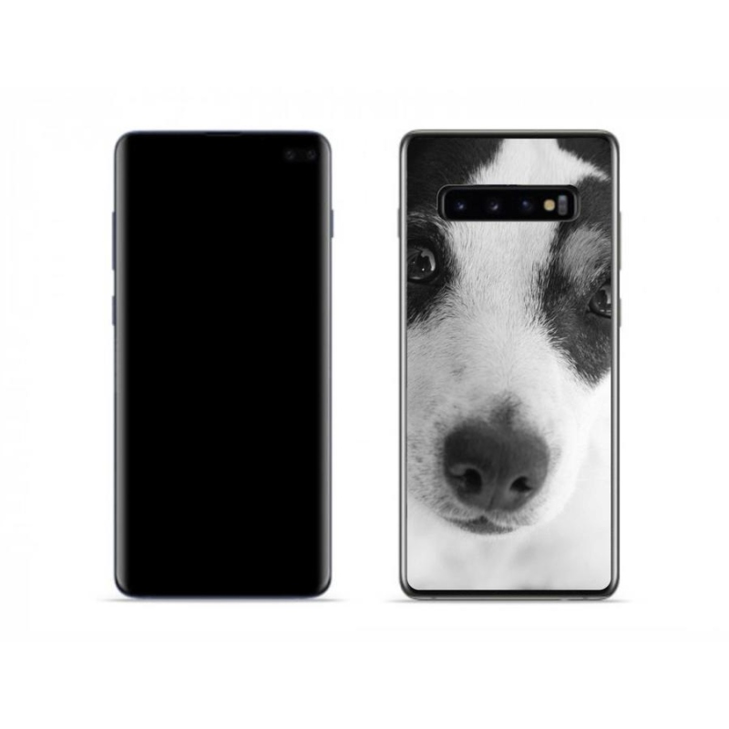 Zselés borítás mmCase Samsung Galaxy S10 készülékhez - kutya