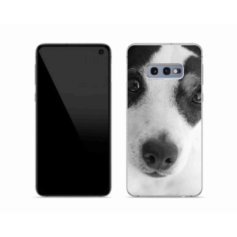 Zselés borítás mmCase Samsung Galaxy S10e készülékhez - kutya