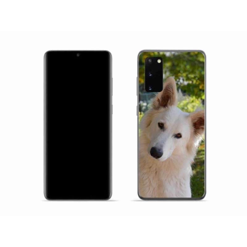Gél védőhuzat mmCase Samsung Galaxy S20 - fehér Svájci juhász 1