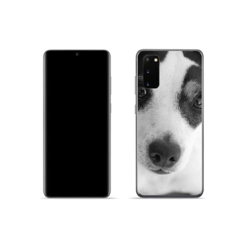 Zselés borítás mmCase Samsung Galaxy S20 készülékhez - kutya