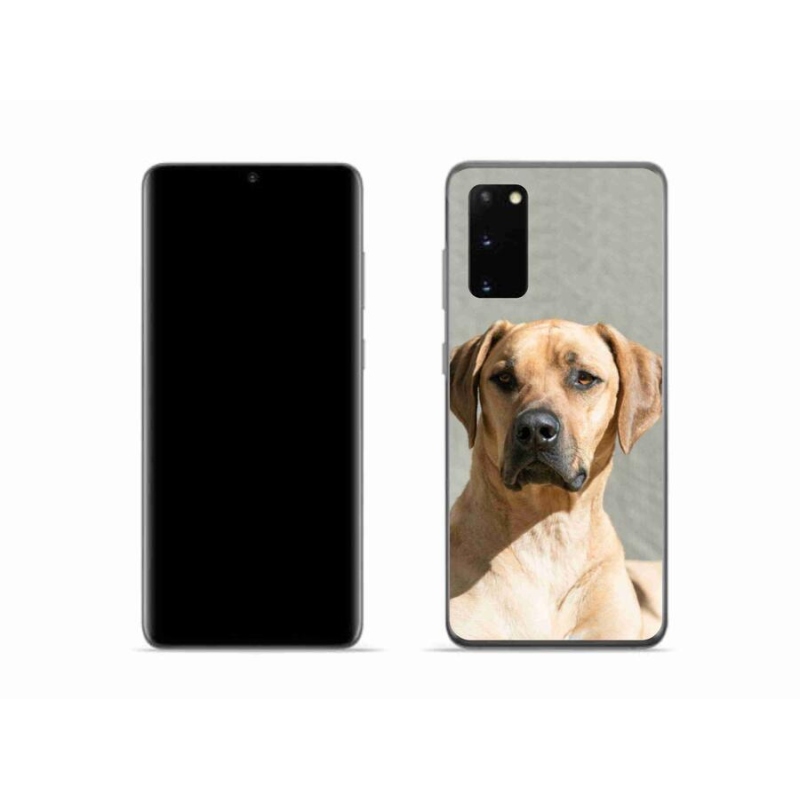 Zselés borítás mmCase Samsung Galaxy S20 készülékhez - ridgeback