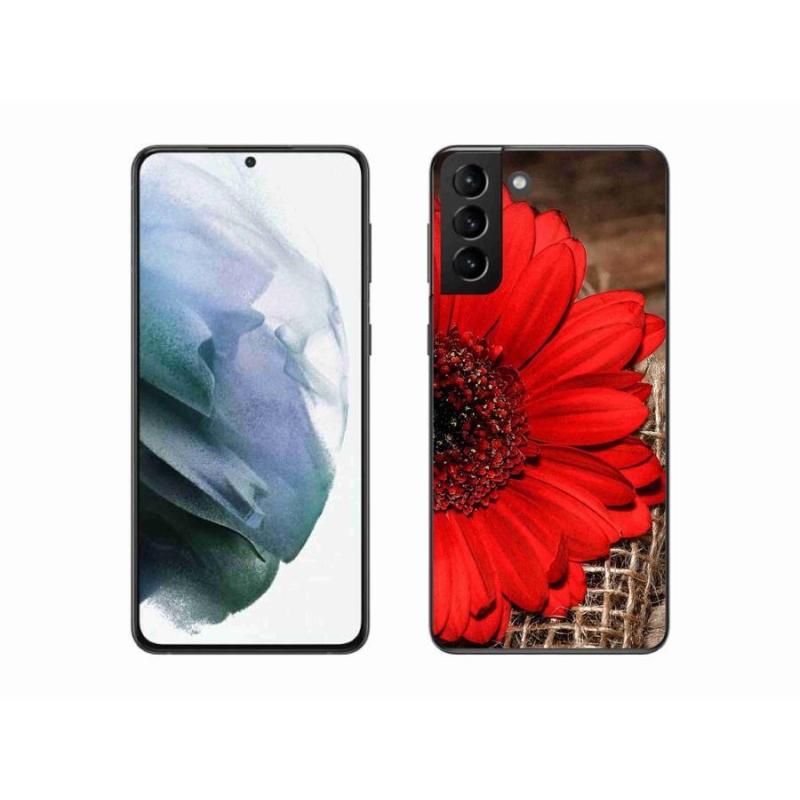 Gél borítás mmCase Samsung Galaxy S21 Plus készülékhez - gerbera