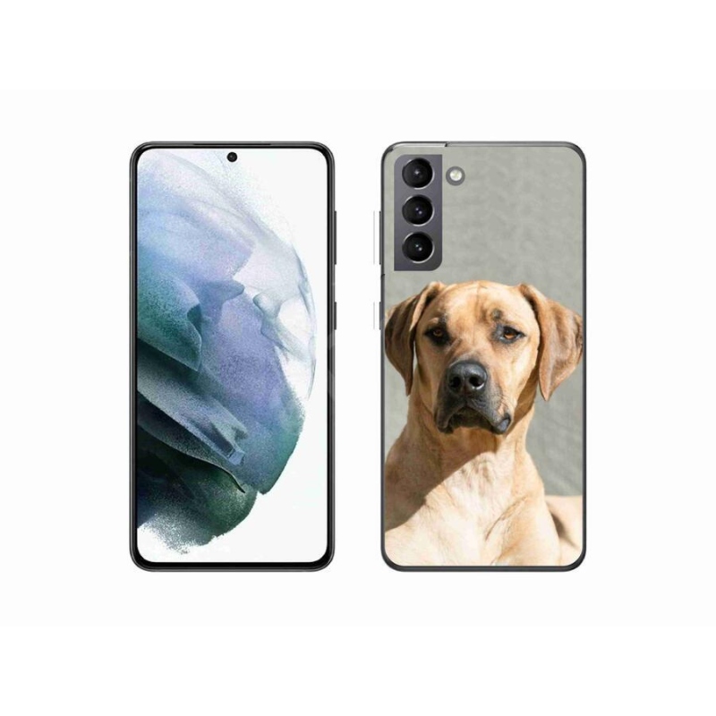 Gél borítás mmCase Samsung Galaxy S21 készülékhez - ridgeback