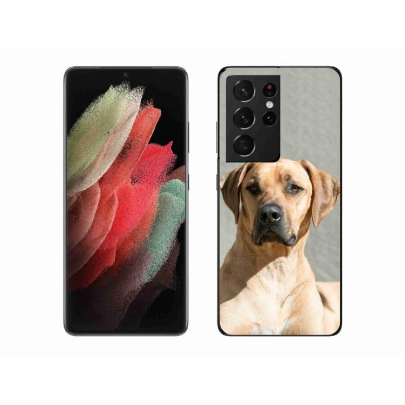 Zselés borítás mmCase Samsung Galaxy S21 Ultra 5G - ridgeback