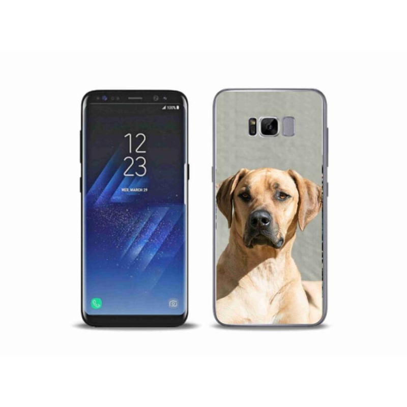 Zselés borítás mmCase Samsung Galaxy S8 Plus készülékhez - ridgeback