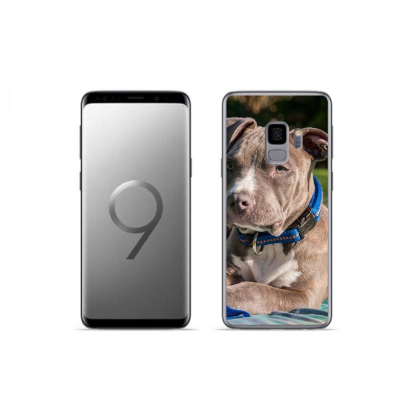 Gél borítás mmCase Samsung Galaxy S9 készülékhez - pitbull