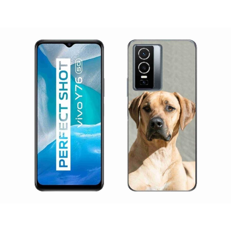 Gél borítás mmCase a Vivo Y76 5G készülékhez - ridgeback