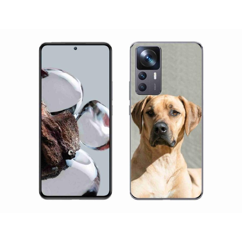Gél borítás mmCase a Xiaomi 12T Pro számára - ridgeback