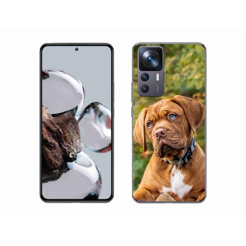 Gél borítás mmCase a Xiaomi 12T Pro számára - kölyökkóró