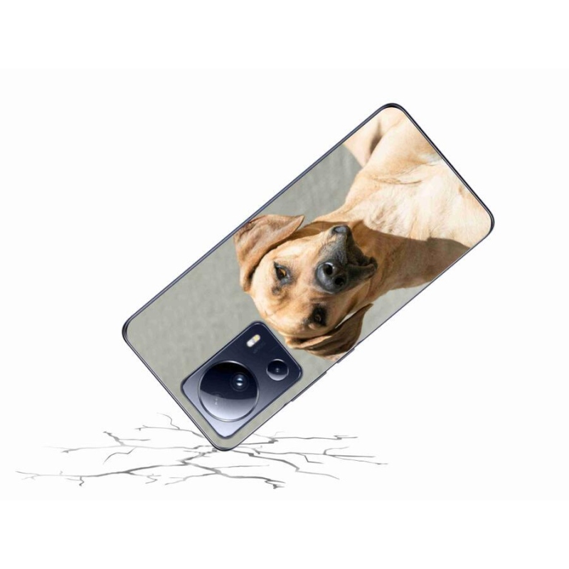 Gél borítás mmCase a Xiaomi 13 Lite-hoz - ridgeback