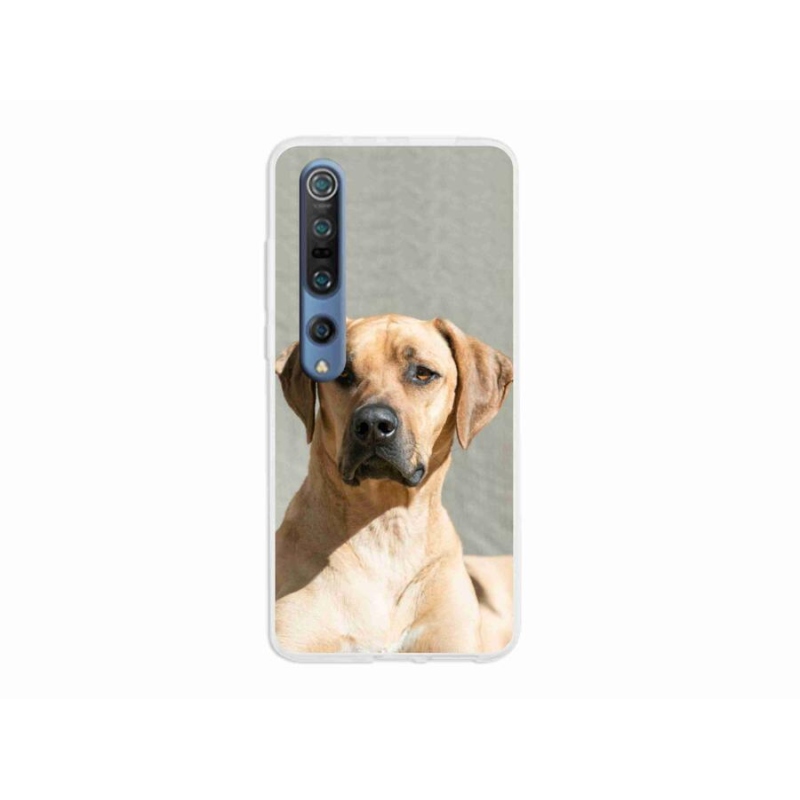 Gél borítás mmCase a Xiaomi Mi 10 készülékhez - ridgeback
