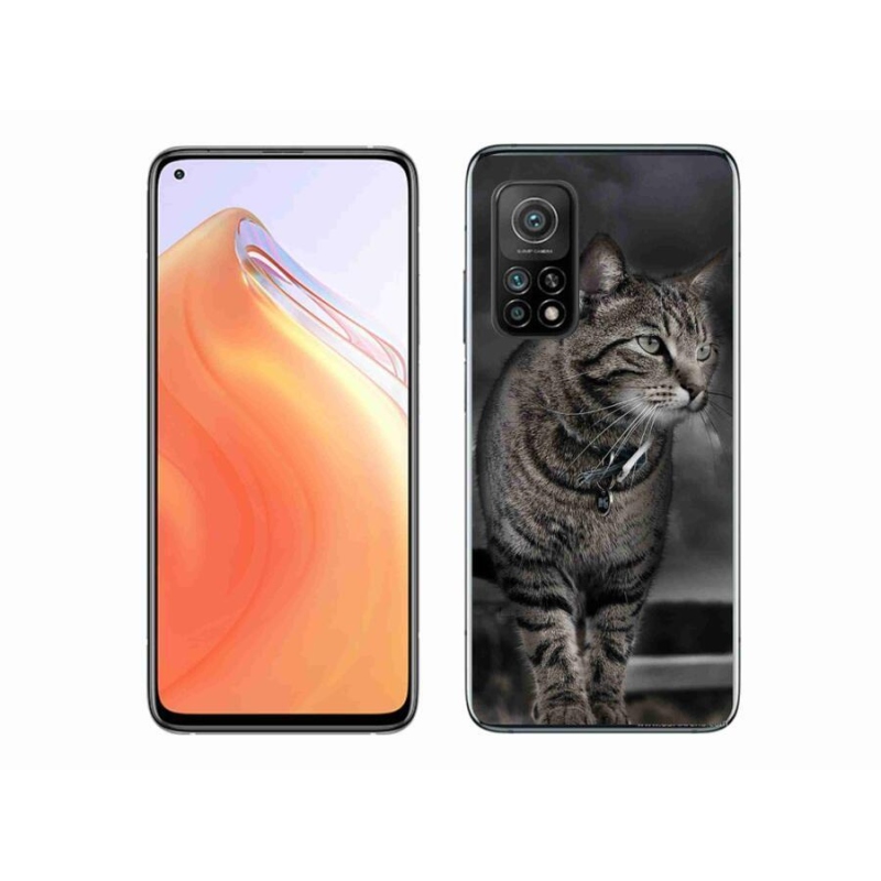 Gél borítás mmCase a Xiaomi Mi 10T 5G-hez - macska