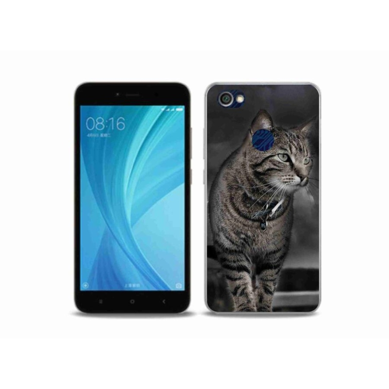 Gél borítás mmCase a Xiaomi Redmi Note 5A Prime számára - macska