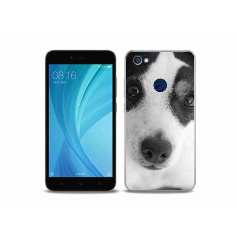 Gél borítás mmCase a Xiaomi Redmi Note 5A Prime számára - kutya