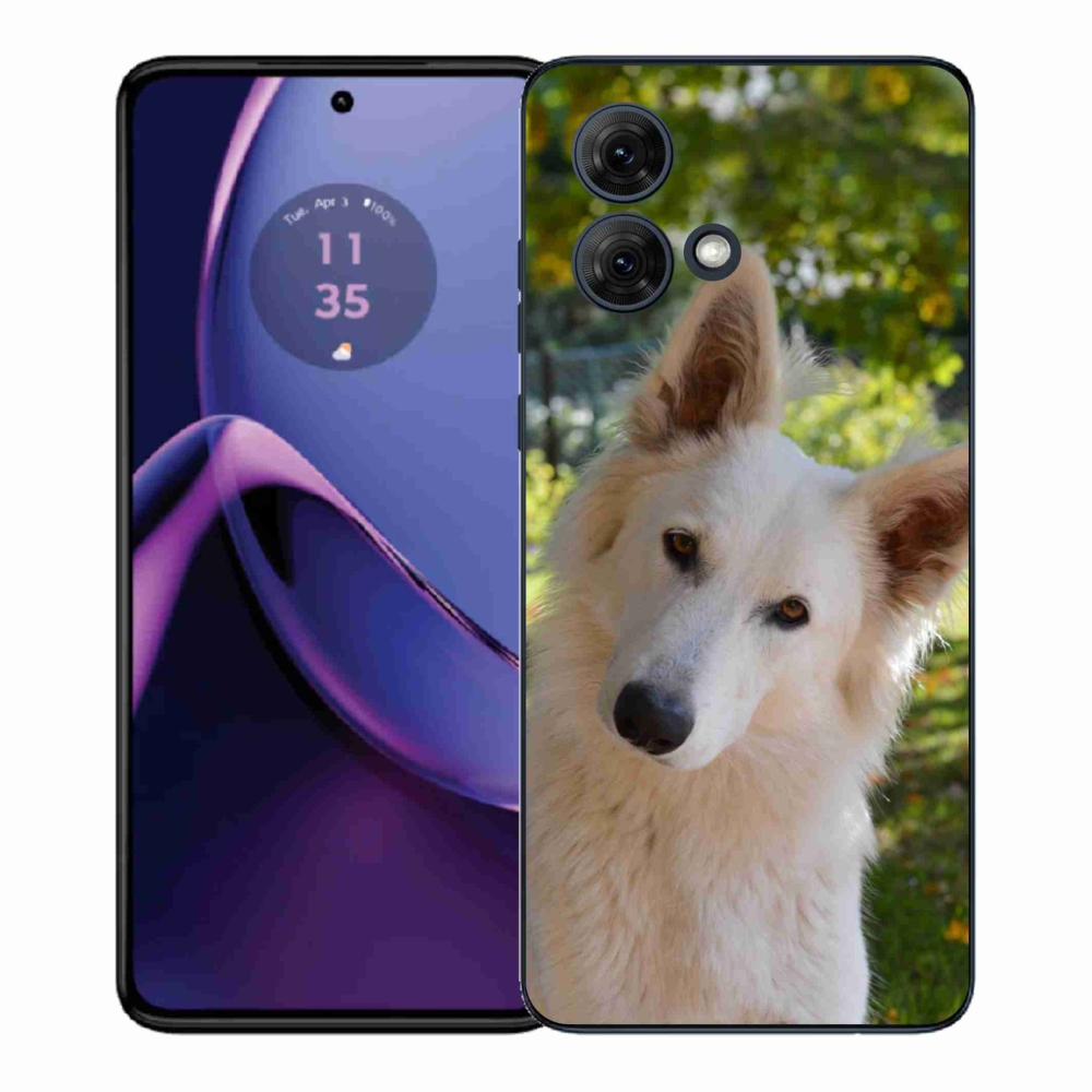 Gél borítás mmCase Motorola Moto G84 5G - Fehér svájci juhász 1