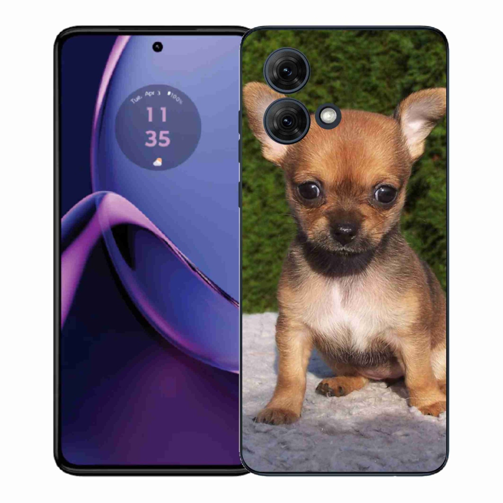 Zselés borítás mmCase a Motorola Moto G84 5G-hez - chihuahua 3