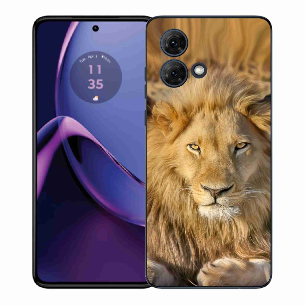 Gél védőburkolat mmCase a Motorola Moto G84 5G - Lion 2 számára