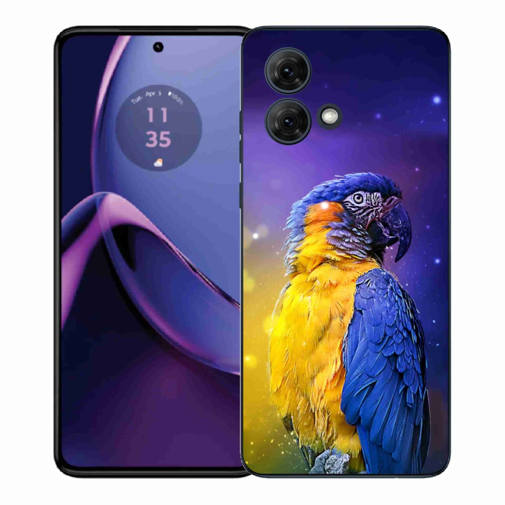 Gél védőburkolat mmCase Motorola Moto G84 5G - papagáj ara 1