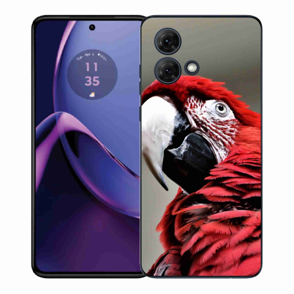 Gél védőburkolat mmCase Motorola Moto G84 5G - papagáj ara piros