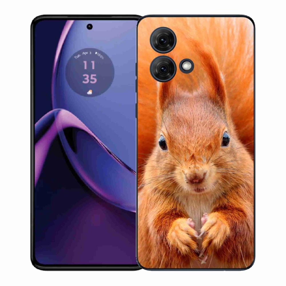 Gél védőburkolat mmCase a Motorola Moto G84 5G készülékhez - mókus