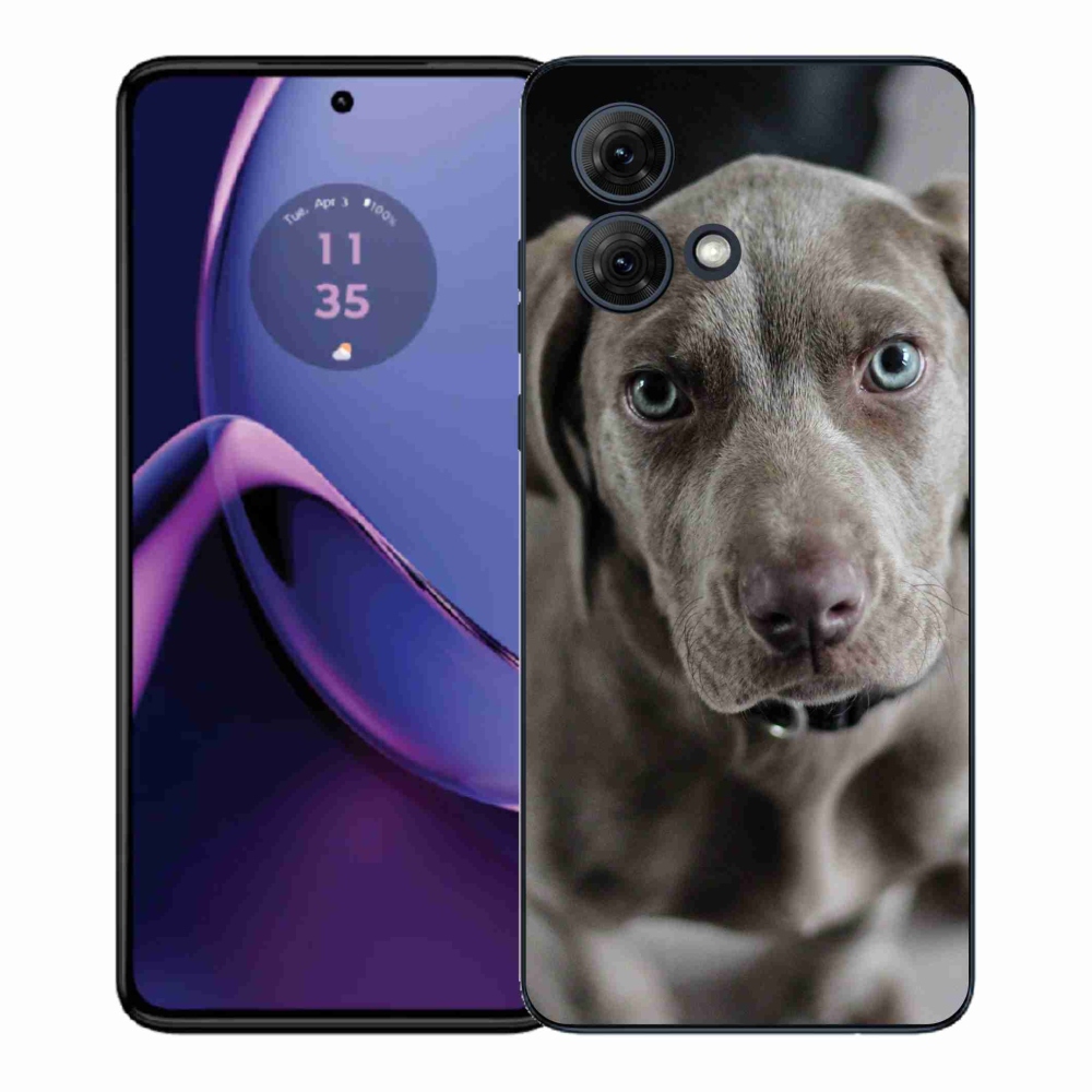 Gél védőburkolat mmCase a Motorola Moto G84 5G készülékhez - wymmarský ohař
