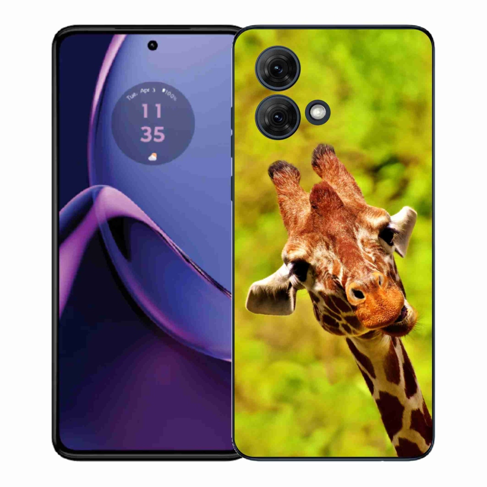Zselés borítás mmCase a Motorola Moto G84 5G készülékhez - zsiráf