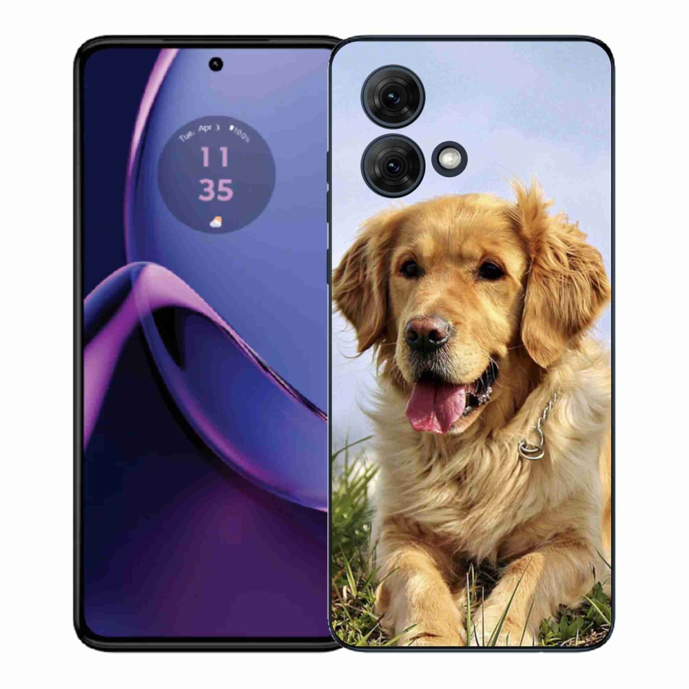 Gél borítás mmCase Motorola Moto G84 5G - arany retrieverhez