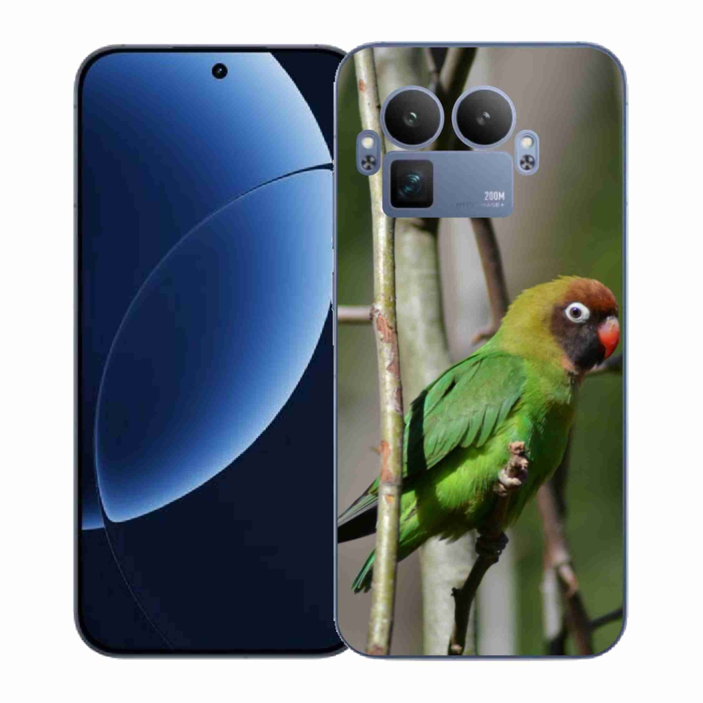 Zselés borítás mmCase a Realme GT 8 Pro készülékhez - papagáj agapornis