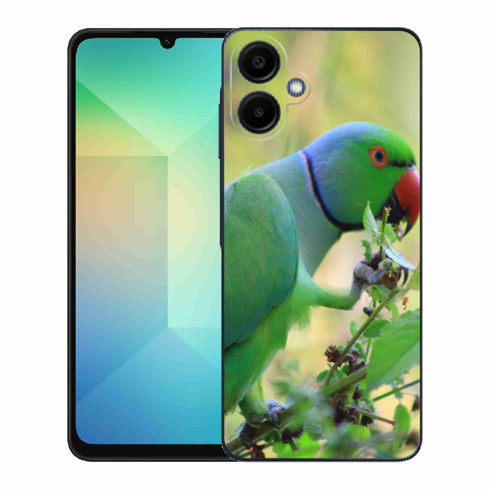 Gél borítás mmCase Samsung Galaxy A06-hoz - papagáj alexandr