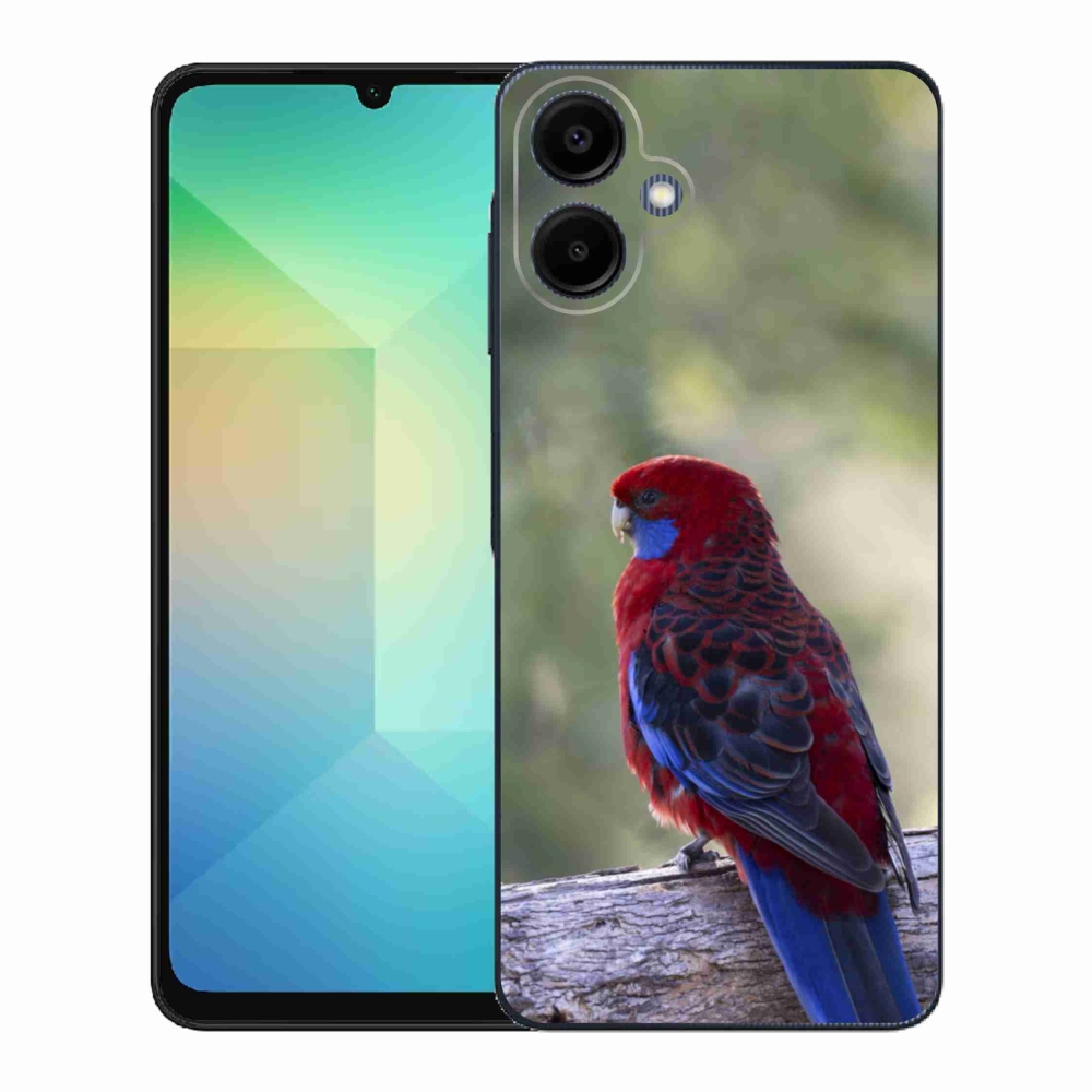 Zselés borítás mmCase Samsung Galaxy A06-hoz - papagáj rosela