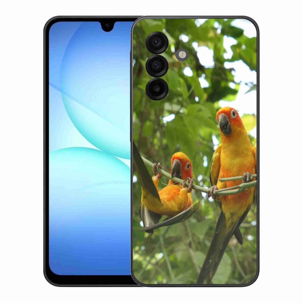 Gél borítás mmCase Samsung Galaxy A17 4G/5G - papagájok aratingy